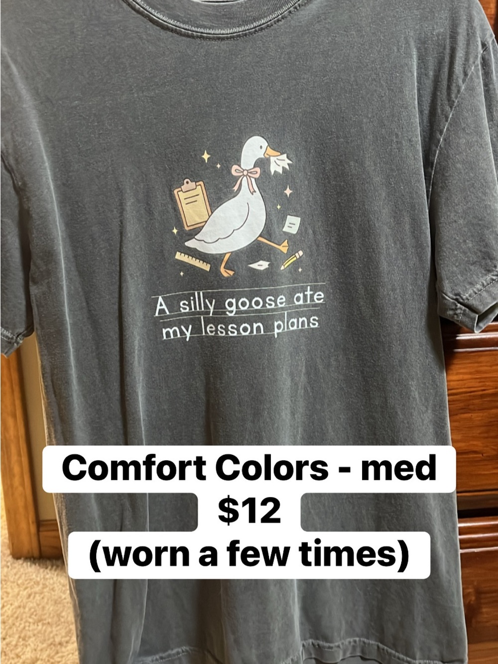 Comfort Colors Gray Tee with Cute Goose Classroom Graphic